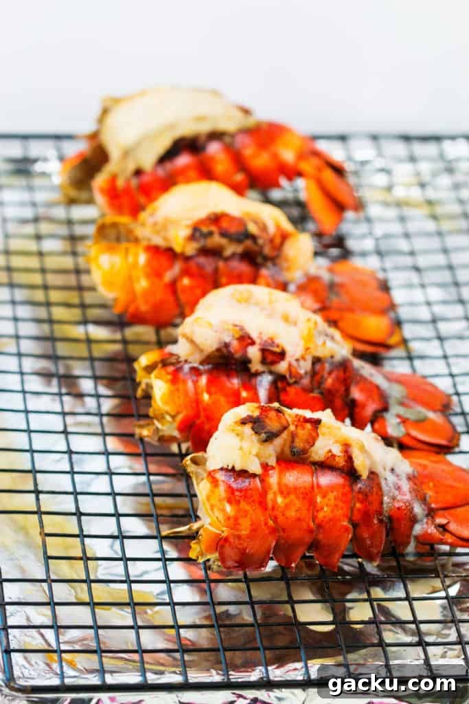 Crispy Lobster Cakes with Lemon-Dill Aioli 4 lobster cakes