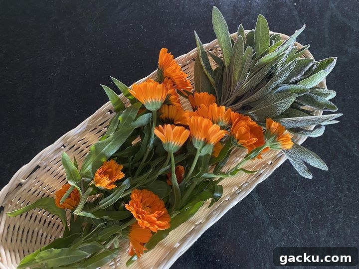 Grow a Thriving Medicinal Herb Garden: Tips for Beginners 2 Sage and Calendula
