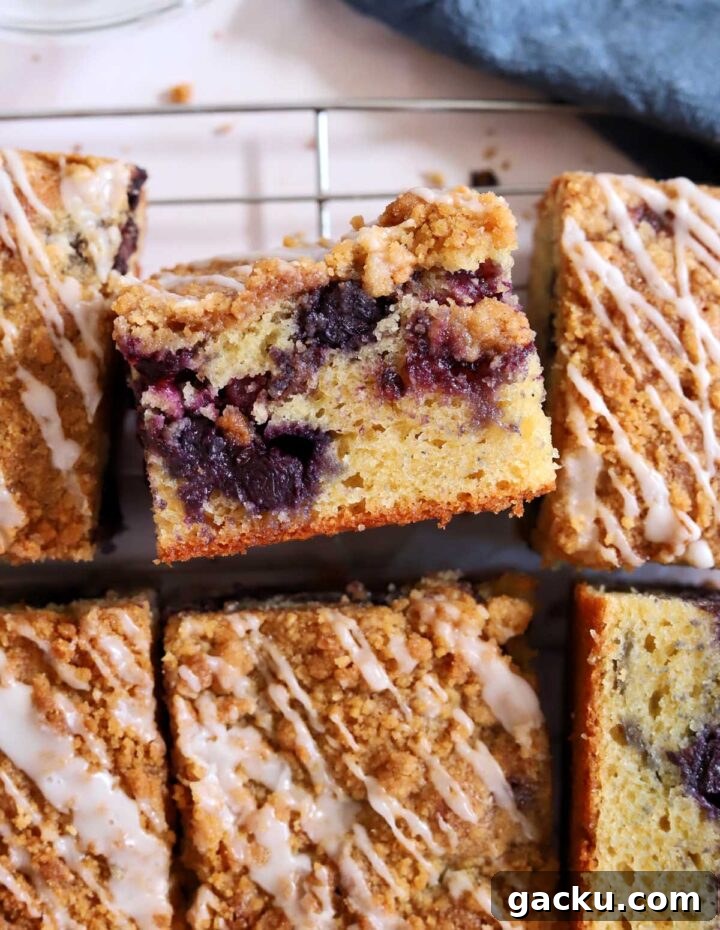 Blueberry Sour Cream Coffee Cake Recipe — Moist, Tender Slice 10 blueberry sour cream coffee cake sliced
