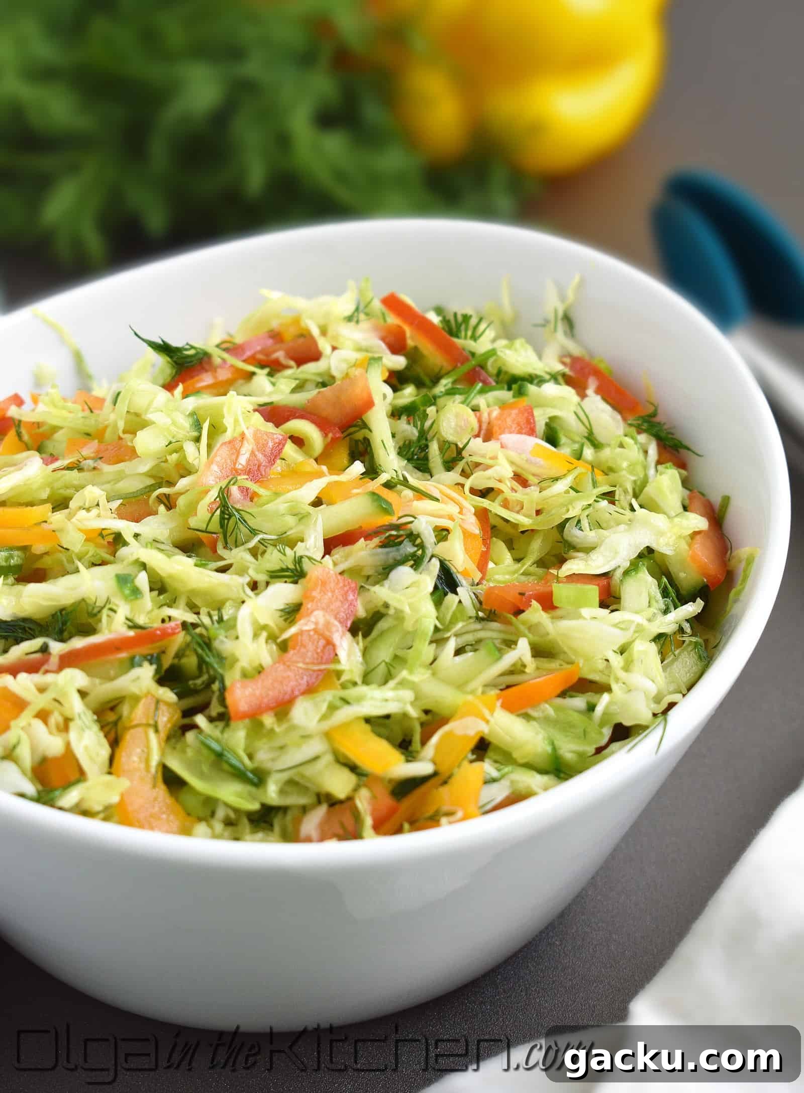 Crisp Cabbage and Bell Pepper Salad with Tangy Dressing 3 img 2791 2