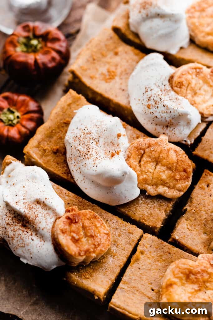 Irish Cream Pumpkin Cheesecake Bars Recipe for Fall Desserts 8 A close-up on the sliced cheesecake bars topped with whipped cream.
