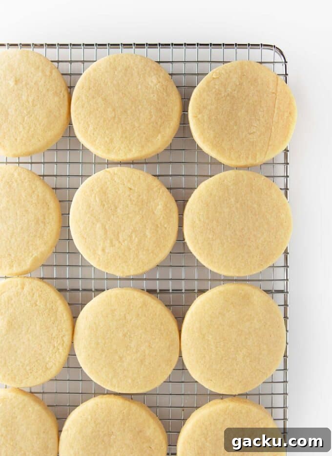 Circle Gingerbread Man Sugar Cookies — Festive Round Cookie Recipe 6 unfrosted round sugar cookies on cooling rack
