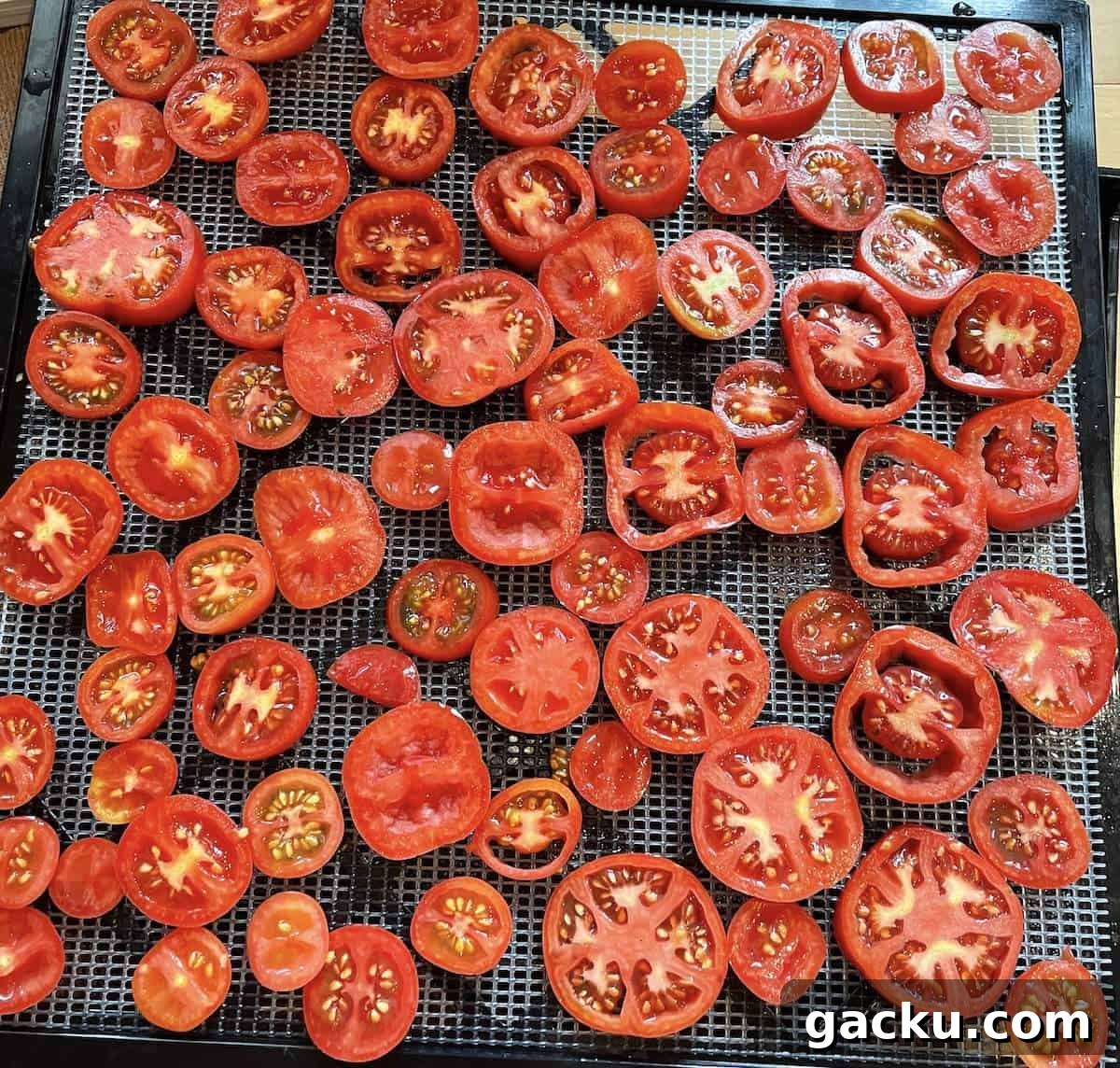 Dehydrating Cherry Tomatoes: Step-by-Step Guide for Perfect Results 12 Sliced tomatoes on an excalibur dehydrator tray.
