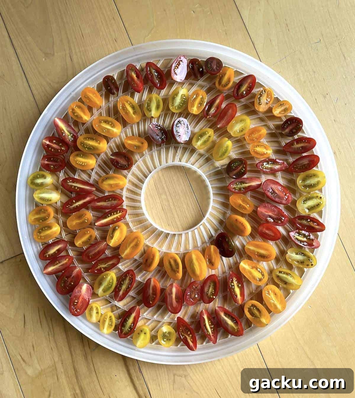 Dehydrating Cherry Tomatoes: Step-by-Step Guide for Perfect Results 5 Sliced cherry tomatoes on a round white dehydrator tray.