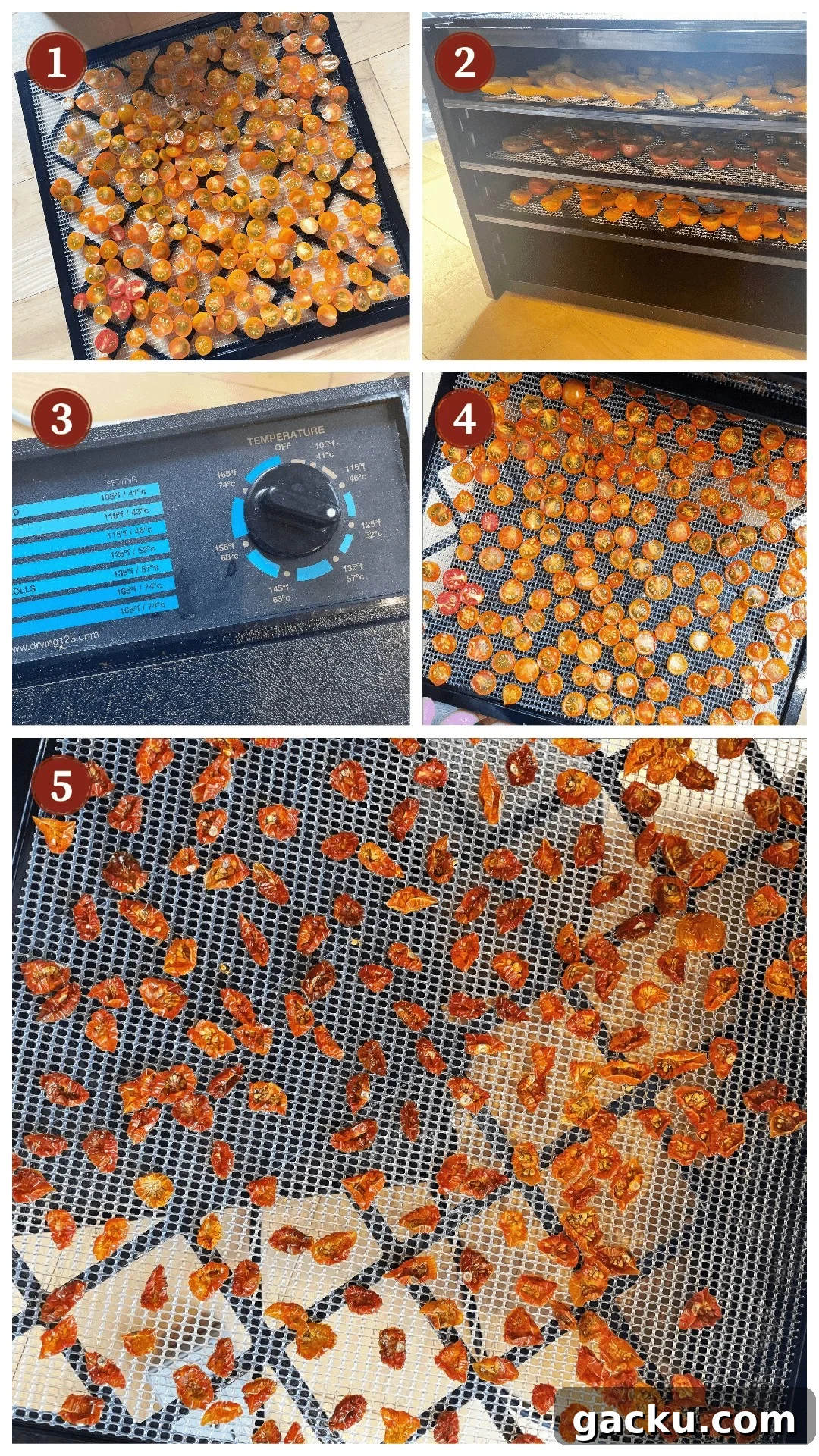 Dehydrating Cherry Tomatoes: Step-by-Step Guide for Perfect Results 7 A collage of images showing how to dehydrate cherry tomatoes, steps 1 - 5.