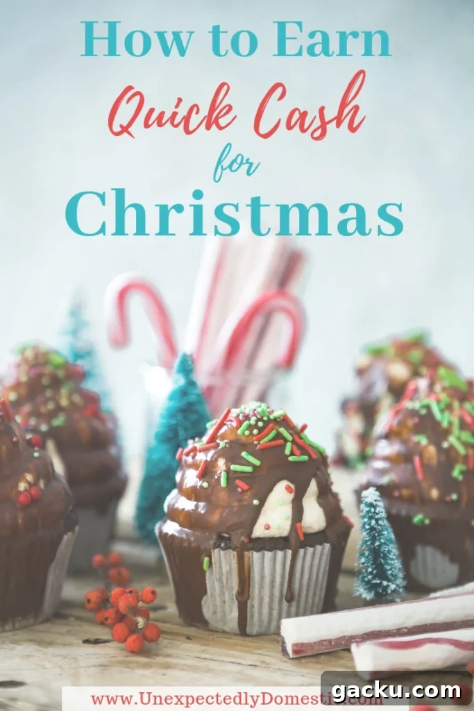 Earn money for Christmas