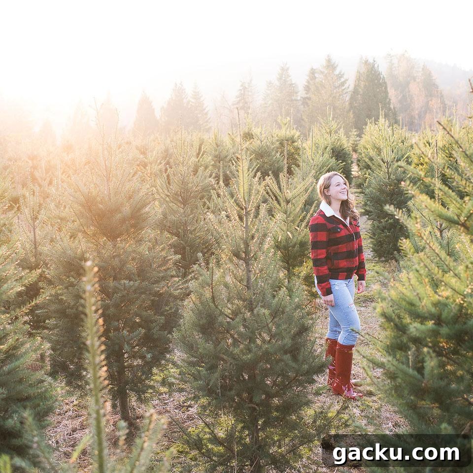 10 Practical Ways to Have a More Sustainable Christmas 15 Lifestyle blogger, Bella Bucchiotti of xoxoBella shares her best tips for a sustainable Christmas and a sustainable holiday season. If you are looking for going green for Christmas, check out these sustainability tips.