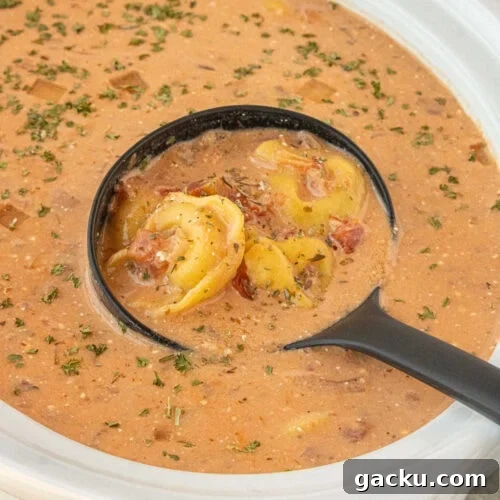 Close-up of creamy tomato tortellini soup with pasta and herbs in black ladle over slow cooker.