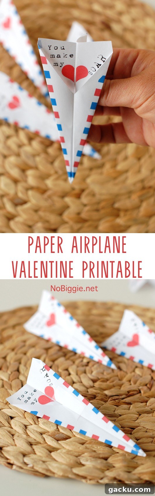 Valentine's Paper Airplane Ideas and Printable Templates 5 Paper Airplane Valentine print fold fly! | NoBiggie.net