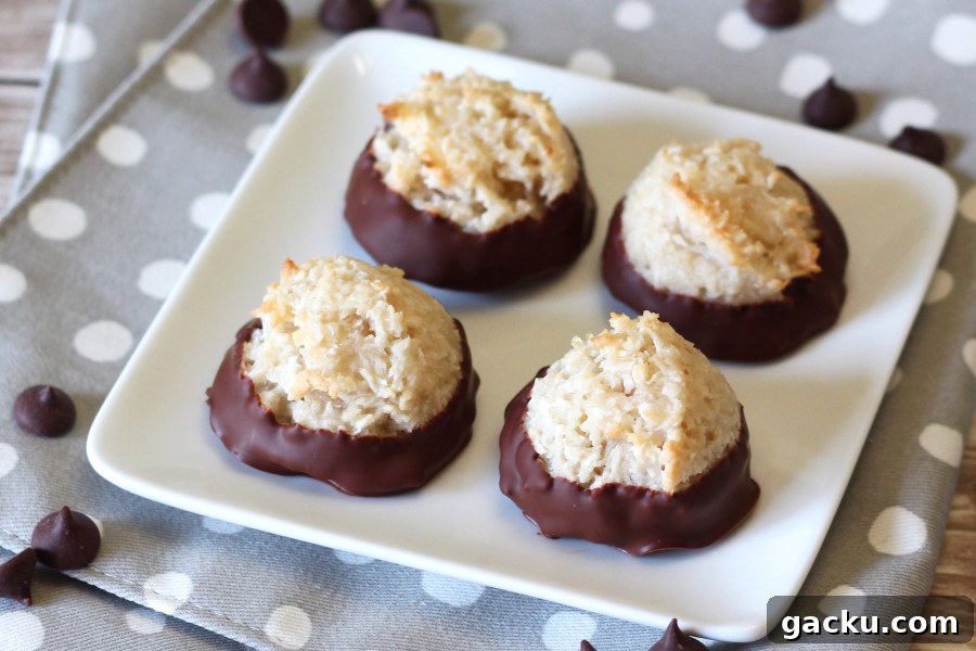 12 Delicious Gluten-Free Vegan Holiday Gift Ideas 10 gluten free vegan chocolate-dipped macaroons2