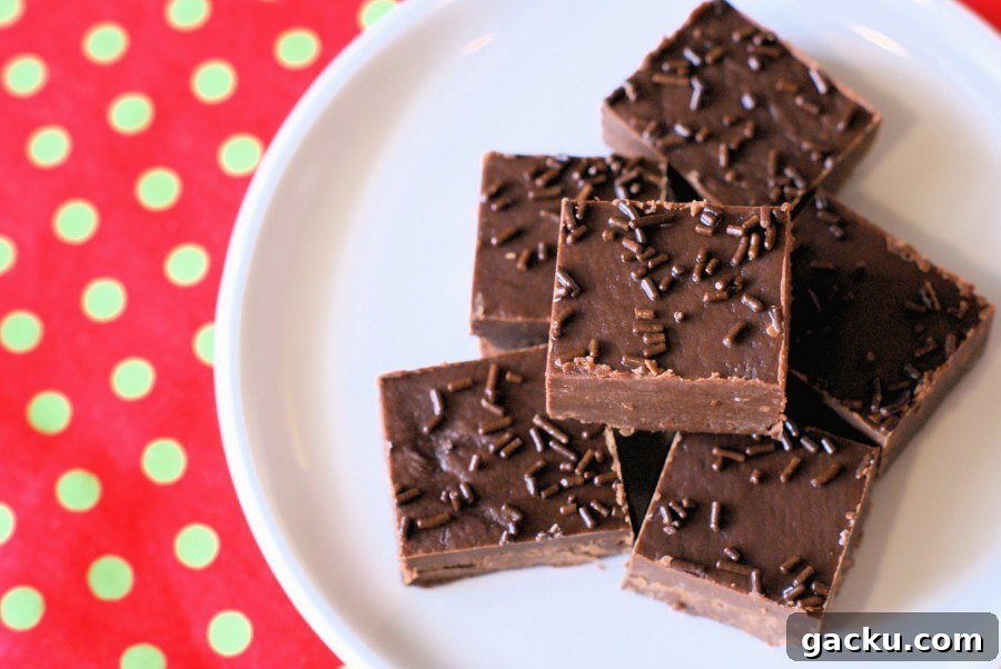 12 Delicious Gluten-Free Vegan Holiday Gift Ideas 12 DSC05124