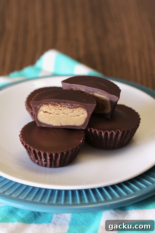 12 Delicious Gluten-Free Vegan Holiday Gift Ideas 3 dairy free peanut butter cups1