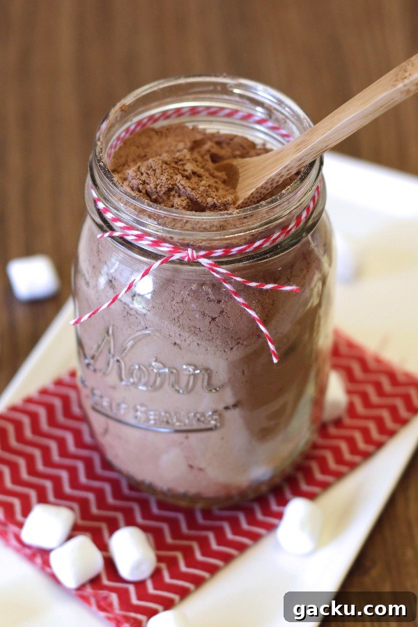 12 Delicious Gluten-Free Vegan Holiday Gift Ideas 4 dairy free hot cocoa mix2