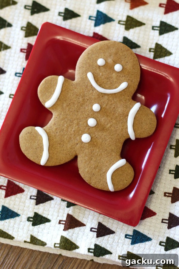 12 Delicious Gluten-Free Vegan Holiday Gift Ideas 5 gingerbread men2