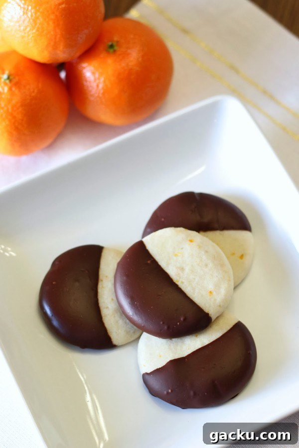 12 Delicious Gluten-Free Vegan Holiday Gift Ideas 9 orange chocolate cookies1-2