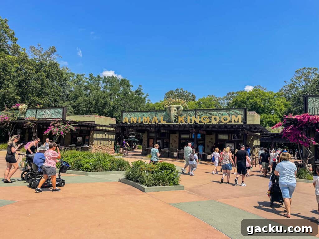 Top Rides to Experience at Disney's Animal Kingdom 2 entrance to Animal Kingdom.