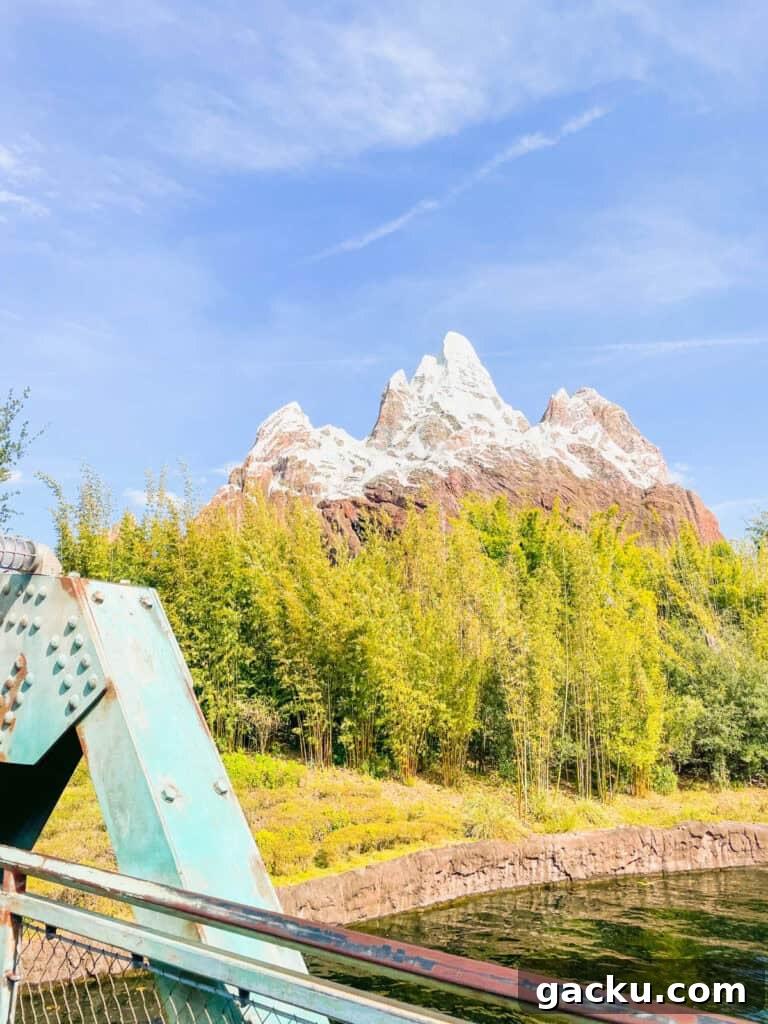 Top Rides to Experience at Disney's Animal Kingdom 3 Mt Everest at Animal Kingdom.