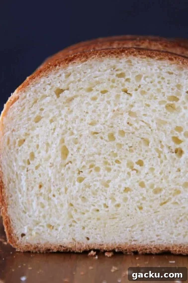Classic German Stollen Recipe: Traditional Holiday Fruit Bread 12 Brioche Bread close up of tender crumb.