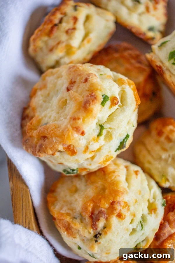 Essential Kitchen Techniques Every Home Cook Should Master 9 Green Onion and Cheddar Biscuits are easy to make with just 20 minutes of active preparation time. These biscuits are the ideal combination of buttery and cheesy, with a nice fresh flavor from the green onion.