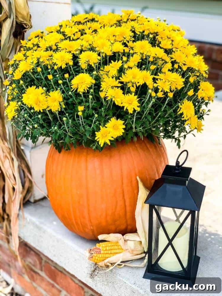 15 Fall DIY Home Decor Crafts to Transform Your Space 6 yellow mum in orange pumpkin outdoors on porch