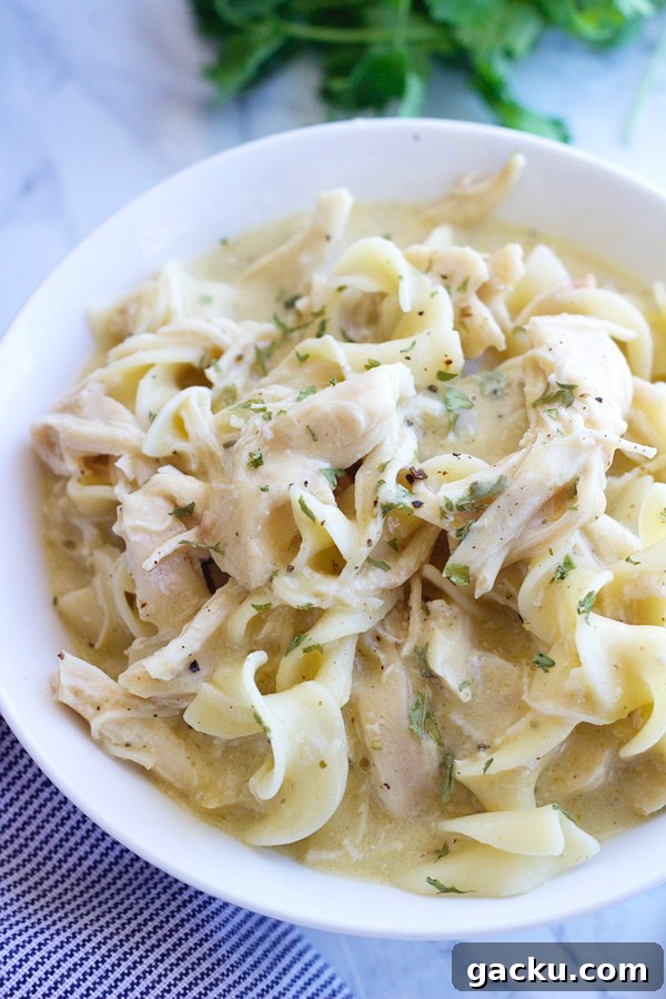 overhead shot of a bowl of slow cooker chicken and noodles