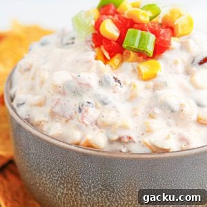 Fiesta Ranch Dip Recipe: Creamy Party Dip for Chips & Veggies 9 Creamy Fiesta Ranch Dip is an addicting chip dip that everyone looks forward to at parties! Served with your favorite chips.