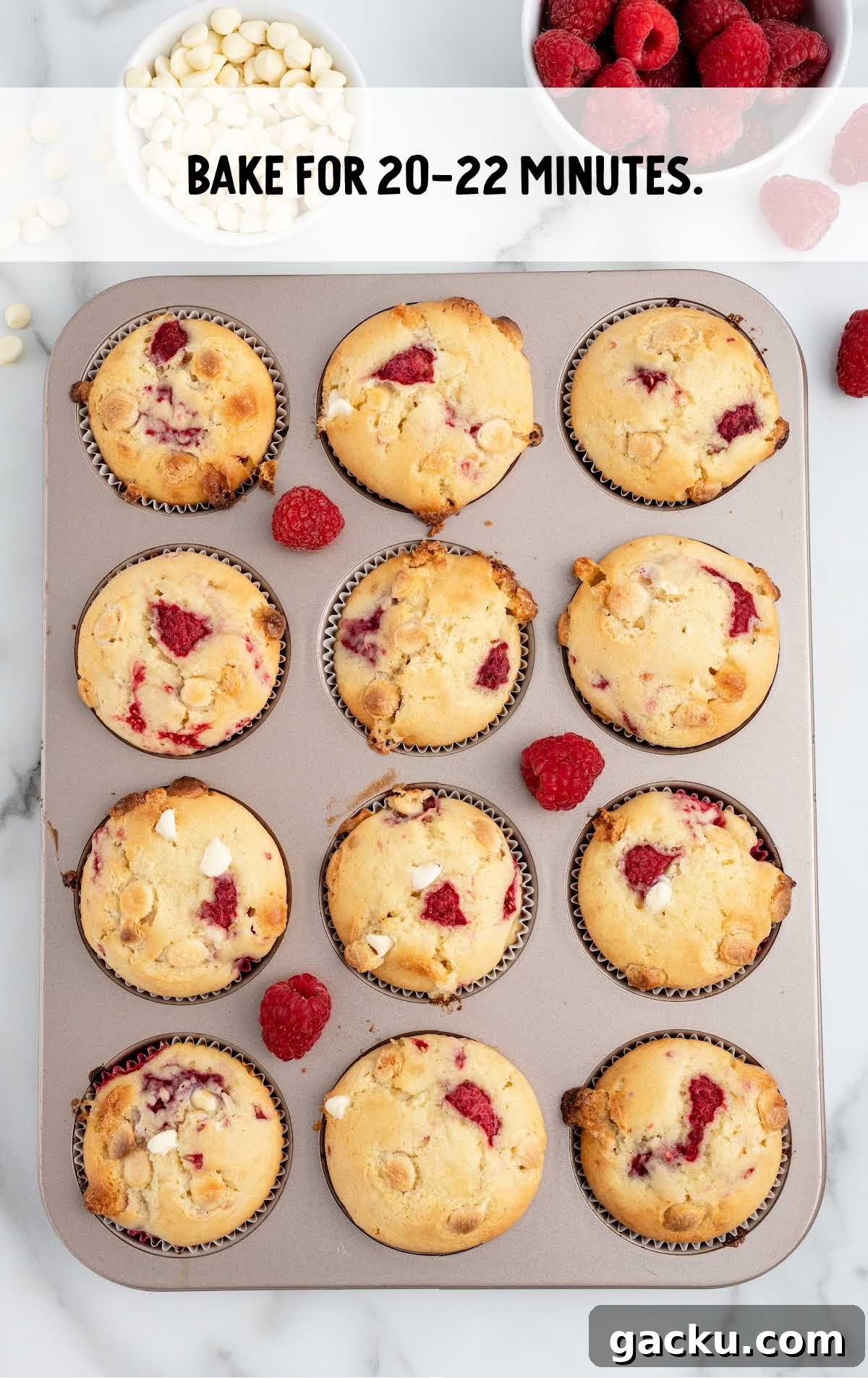 White Chocolate Raspberry Muffins with Fresh Raspberries 7 muffins baked in a muffin pan