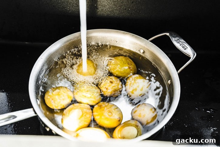 yukon gold potatoes in pot with cold water