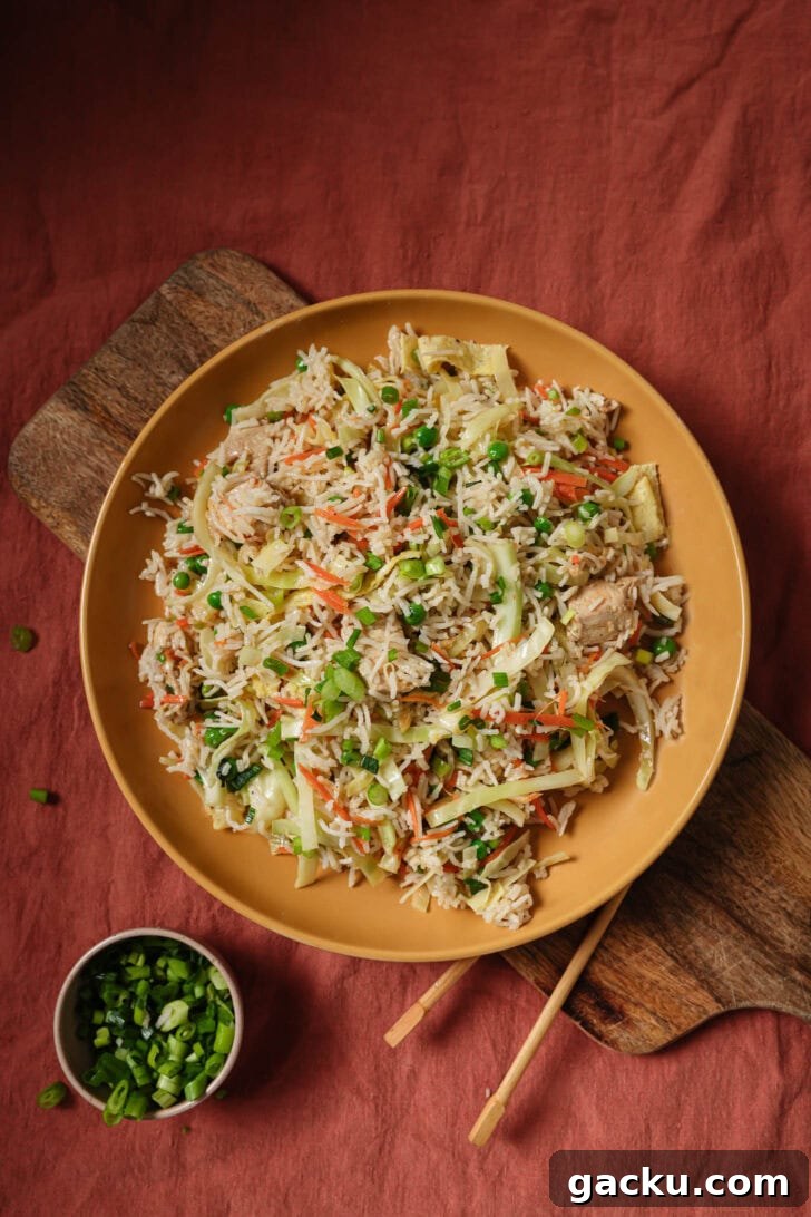 Indo-Chinese Basmati Fried Rice Recipe 2 A plate of Indo-Chinese Chicken Fried Rice ready to be eaten.
