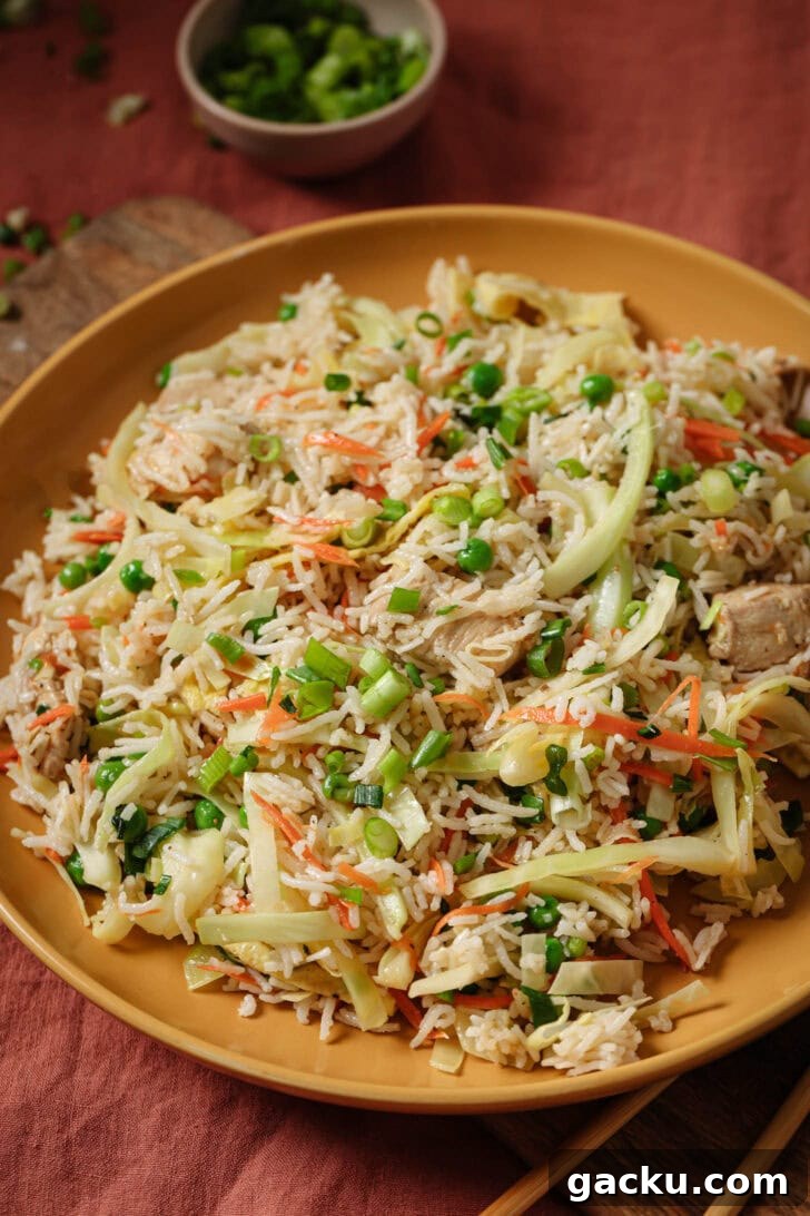 Indo-Chinese Basmati Fried Rice Recipe 3 Close up of a plate of Indo-Chinese Chicken Fried Rice.