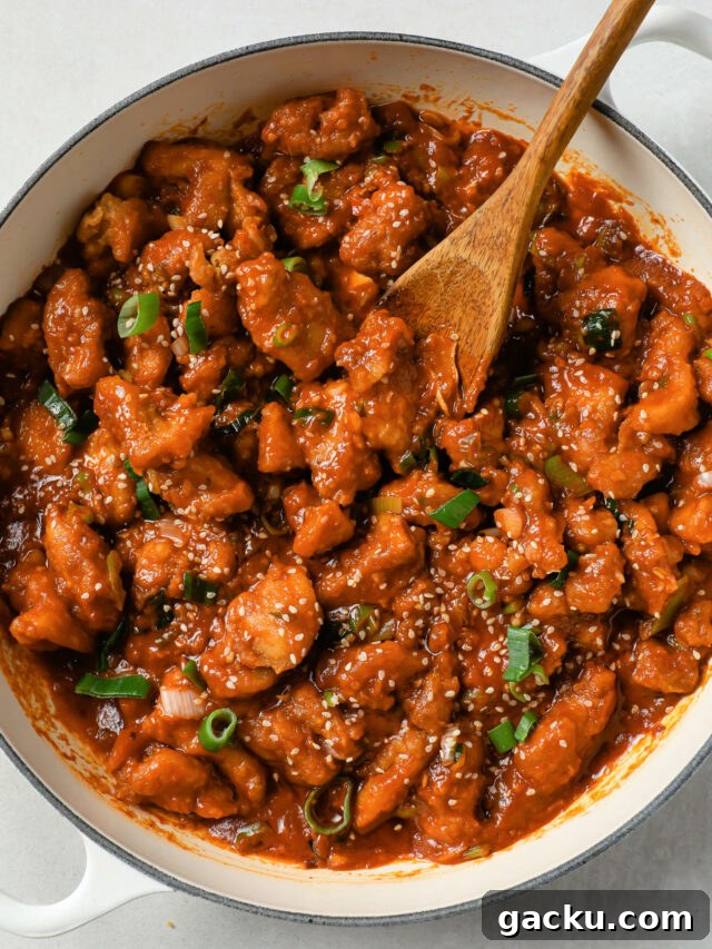 Indo-Chinese Basmati Fried Rice Recipe 17 Chicken Manchurian