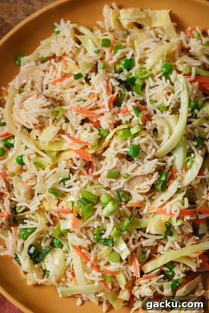 Indo-Chinese Basmati Fried Rice Recipe 21 Close up of a plate of Indo-Chinese Chicken Fried Rice.