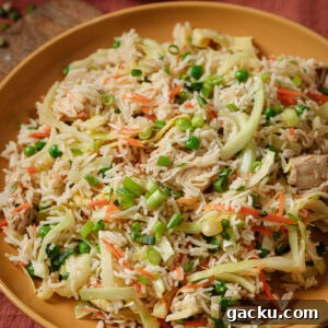 Indo-Chinese Basmati Fried Rice Recipe 22 Close up of a plate of Indo-Chinese Chicken Fried Rice.