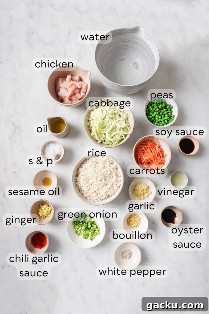 Indo-Chinese Basmati Fried Rice Recipe 4 Indo-Chinese Chicken Fried Rice Ingredients