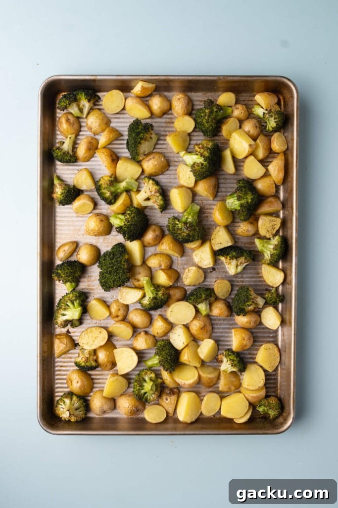 30-Minute Roasted Baby Potatoes & Broccoli with Garlic Butter 7 Roasted broccoli and potatoes fresh out of the oven, just roasted on a sheet pan.