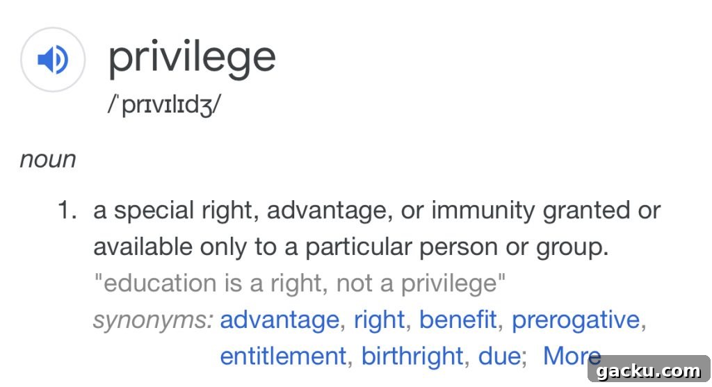 Talking About Privilege: A Tea Time Conversation 3 img 4266 2