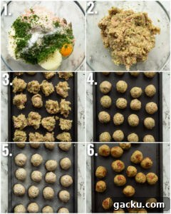 how to make chicken meatballs 6 step by step photos showing how to make chicken meatballs