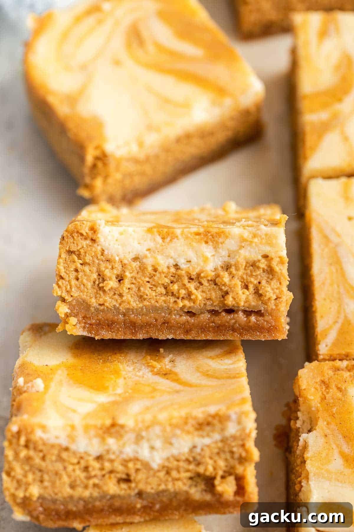 Pumpkin Cheesecake Bars Recipe — Creamy Spiced Autumn Dessert 13 Close up shot of swirled pumpkin cheesecake bars with graham cracker crust.