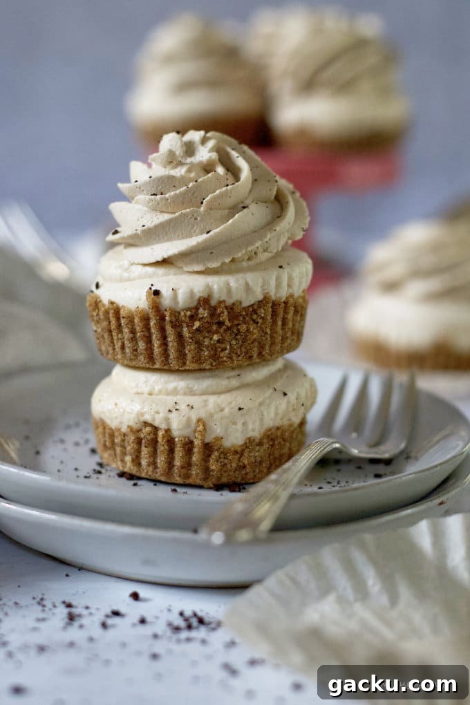 Mini Peanut Butter Espresso No-Bake Cheesecakes 2 two peanut butter espresso cheesecakes stacked on a plate