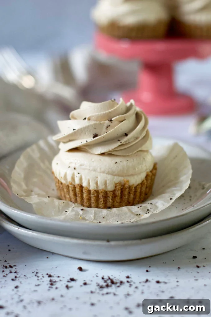 Mini Peanut Butter Espresso No-Bake Cheesecakes 20 mini peanut butter espresso cheesecake sitting on a plate