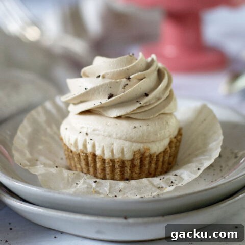 mini peanut butter espresso cheesecake sitting on a plate
