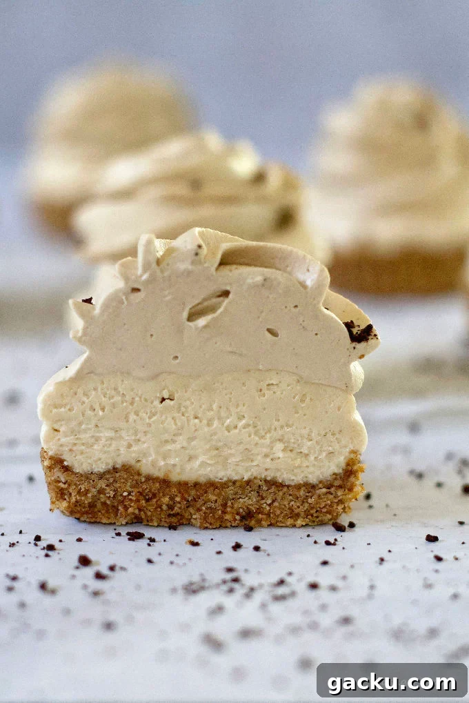 Mini Peanut Butter Espresso No-Bake Cheesecakes 4 slice showing the three layers in peanut butter espresso cheesecakes