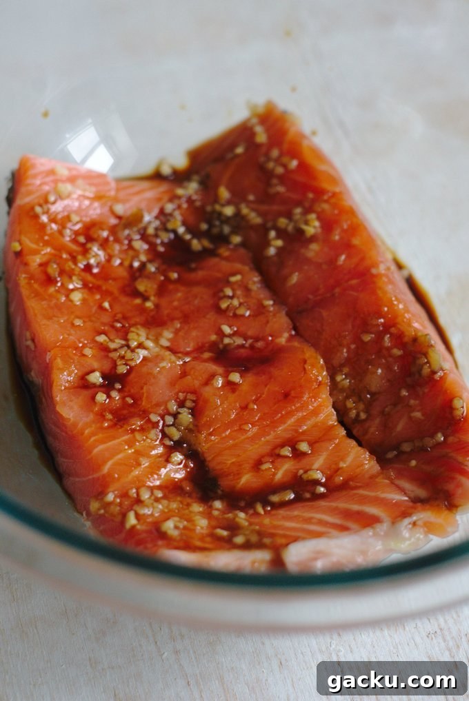 Oven-Baked Asian Glazed Salmon with Sesame and Ginger 4 img 4610 8