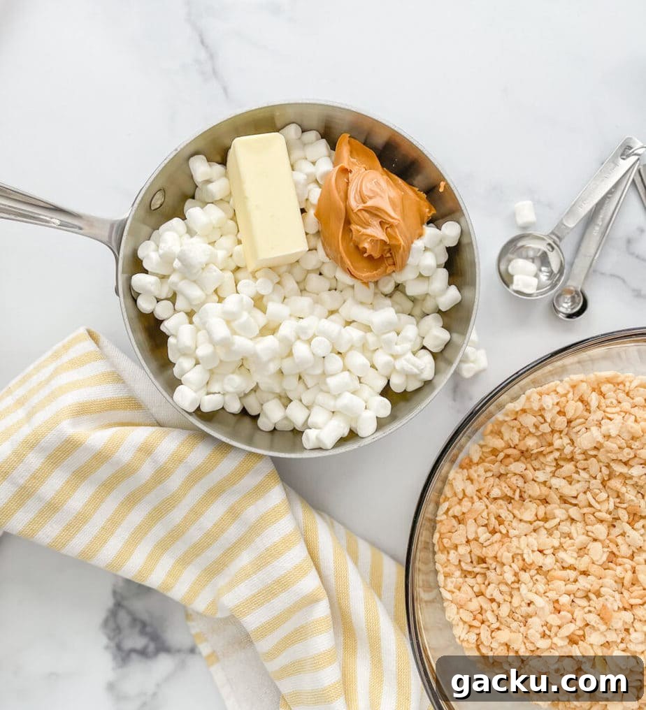 Ingredients for the Rice Krispie Treats