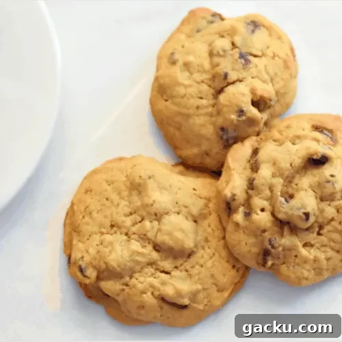 Date cookies recipe