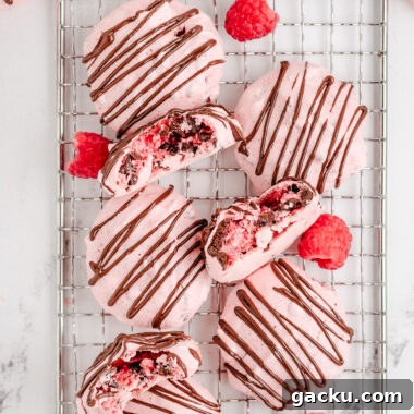 raspberry meringues drizzled with chocolate