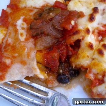 Flavorful Vegetarian Enchiladas: Cheesy Meat-Free Dinner Recipe 2 Meatless Enchiladas With Salsa