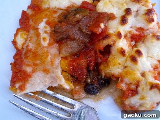 Meatless Enchiladas with salsa Meatless Enchiladas with salsa