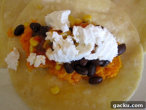 Meatless Enchilada with queso panela Meatless Enchilada with queso panela