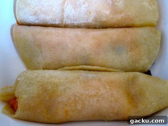 Meatless Enchilada2 Meatless Enchilada2